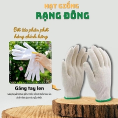 Bao Tay Len 1 cặp