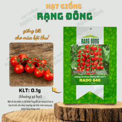 Hạt giống Cà Chua Cherry Đỏ Lai F1