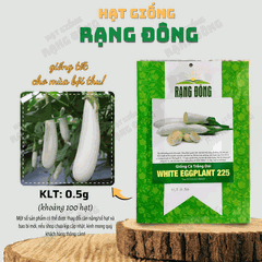Hạt giống Cà trắng trái dài - Thương hiệu Hạt giống Rạng Đông