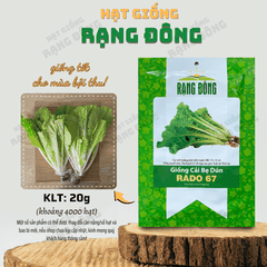 Hạt giống Cải Bẹ Dún