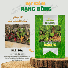 Hạt giống Cải Cầu Vòng