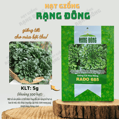 Hạt giống Cải Hoa Hồng