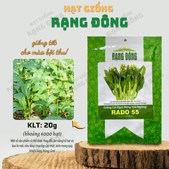 Hạt Giống Cải Ngọt Ăn Bông (Cải Ngồng)