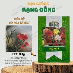 Hạt giống Hoa Cẩm Chướng Kép Nhiều Màu