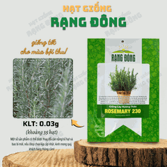 Hạt giống Cây Hương Thảo
