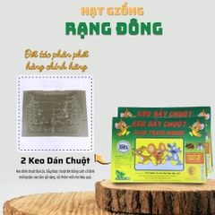 Keo dán chuột - 2 miếng