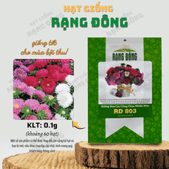 Hạt Giống Hoa Cúc Công Chúa 803