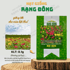 Hạt giống Hoa Cúc Lá Nhám