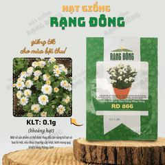 Hạt giống Hoa Cúc Mini Trắng Nhụy Vàng