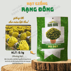 Hạt giống Hoa Cúc Mini Vàng