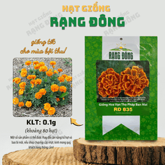 Hạt giống Hoa Vạn Thọ Pháp Ban Mai