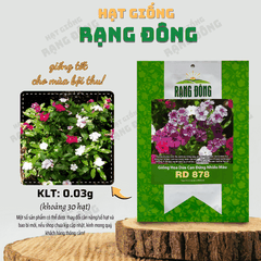 Hạt giống Hoa Dừa Cạn Đứng Nhiều Màu