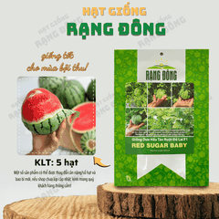 Hạt giống Dưa Hấu Táo Baby Ruột Đỏ Lai F1