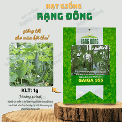 Hạt giống Dưa Leo Nhật