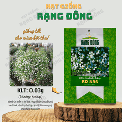 Hạt Giống Hoa Baby Trắng
