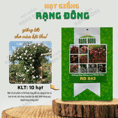 Hạt giống Hoa Hồng Leo Nhiều Màu