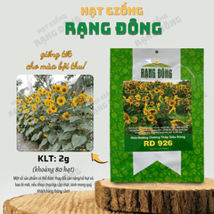 Hạt giống Hoa Hướng Dương Tháp