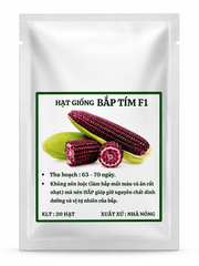 Hạt giống Bắp Nếp Tím Năng Suất Cao