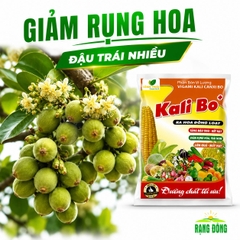 Phân Bón Vi Lượng Siêu Kali Bo (gói 25gr)