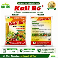 Phân Bón Vi Lượng Siêu Kali Bo (gói 25gr)
