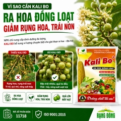 Phân Bón Vi Lượng Siêu Kali Bo (gói 25gr)