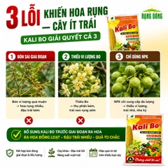Phân Bón Vi Lượng Siêu Kali Bo (gói 25gr)