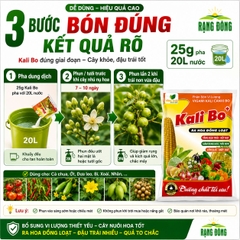 Phân Bón Vi Lượng Siêu Kali Bo (gói 25gr)