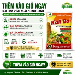 Phân Bón Vi Lượng Siêu Kali Bo (gói 25gr)