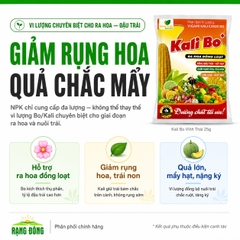 Phân Bón Vi Lượng Siêu Kali Bo (gói 25gr)