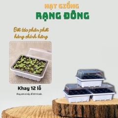 Khay 12 ô có nắp