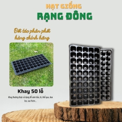 Khay 50 ô