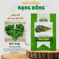 Hạt giống Lơ xanh baby SHIYAMA