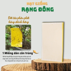 Miếng Dán Bẫy Côn Trùng 20x25cm