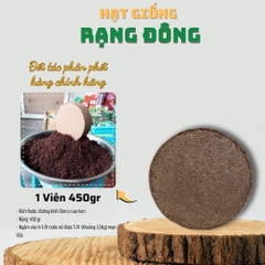 Bánh mụn dừa tròn