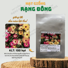 Hạt giống Hoa Mười Giờ Châu Phi