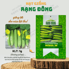 Hạt giống Mướp Hương