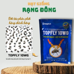 Thuốc diệt Ruồi Topfly - 20g
