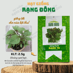 Hạt giống Rau Tía Tô