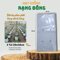 Combo 3 túi trồng cây 20x40cm