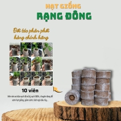 10 Viên Nén Ươm Hạt Giống