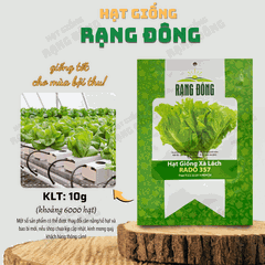 Hạt giống Xà Lách Vàng 357