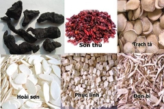 HIỂU VỀ THẬN ÂM HƯ, CHÓNG MẶT, Ù TAI, ĐAU NHỨC XƯƠNG KHỚP