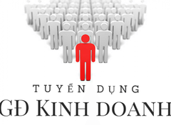 TUYỂN GIÁM ĐỐC KINH DOANH MIỀN BẮC/NAM KÊNH OTC
