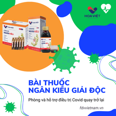 PHÒNG VÀ HỖ TRỢ ĐIỀU TRỊ COVID BẰNG BÀI THUỐC NGÂN KIỀU