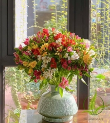 Hoa Thuỷ Tiên