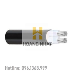 Cáp điện lực hạ thế 2 lõi AXV-2x50 - 0.6/1kV