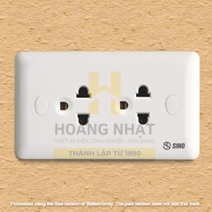 2 ổ cắm 3 chấu S1982E Sino