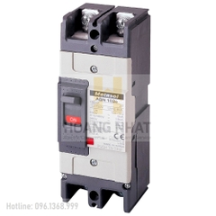 Aptomat MCCB ABN102c 2P 60A 35kA LS