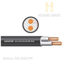 Cáp đồng 2 lõi bọc cách điện Cu/XLPE/PVC 2x6 (0.6/1kV) Goldcup