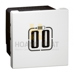 Hạt ổ cắm sạc USB 2M Arteor – 572078